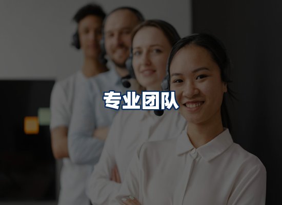 专业团队